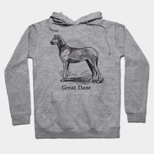 Great Dane Vintage Sketch Hoodie